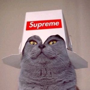 Meet your Posher, Marcos